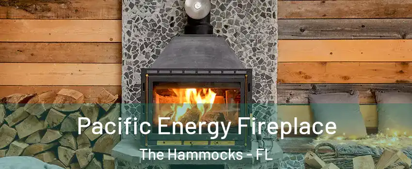  Pacific Energy Fireplace The Hammocks - FL