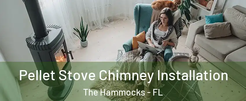  Pellet Stove Chimney Installation The Hammocks - FL