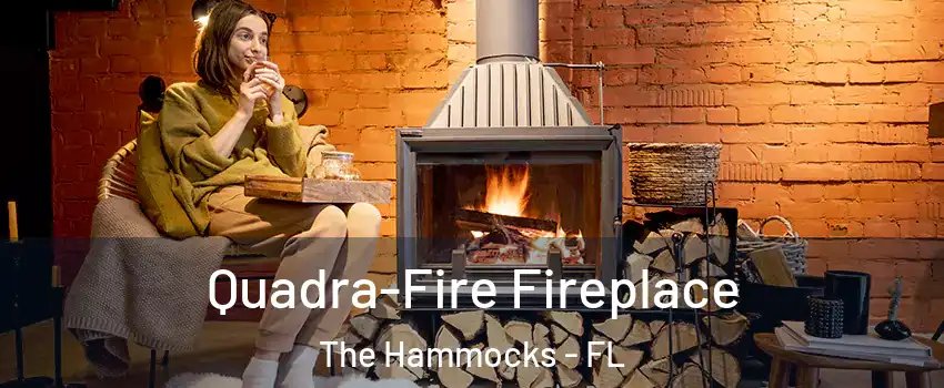  Quadra-Fire Fireplace The Hammocks - FL