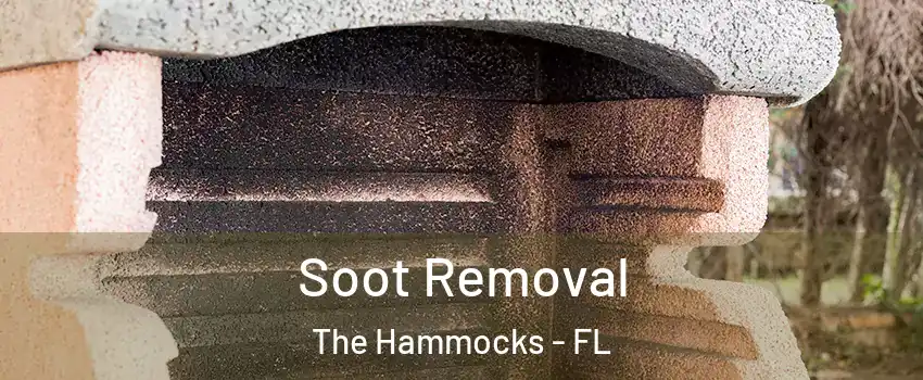  Soot Removal The Hammocks - FL