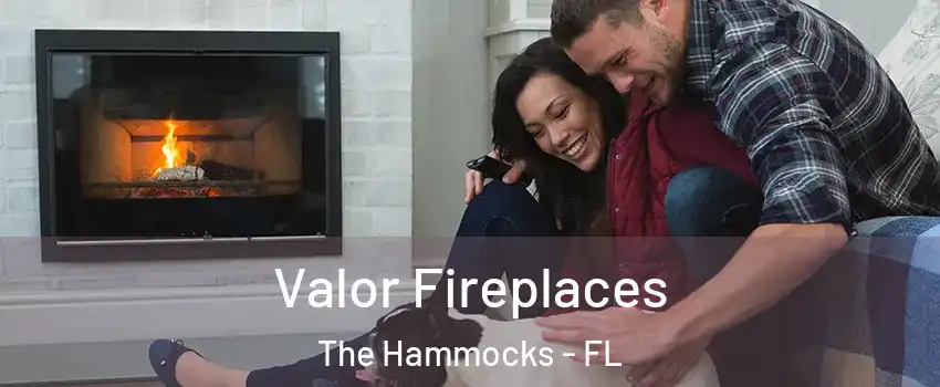  Valor Fireplaces The Hammocks - FL