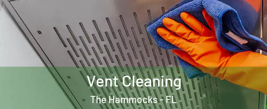  Vent Cleaning The Hammocks - FL