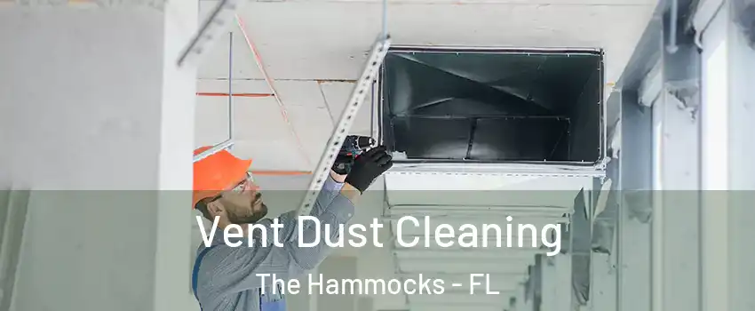  Vent Dust Cleaning The Hammocks - FL