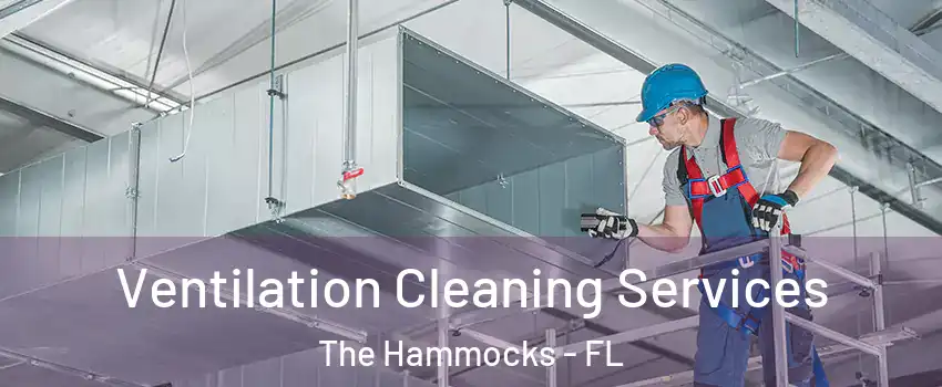  Ventilation Cleaning Services The Hammocks - FL
