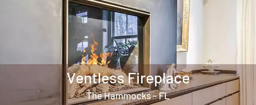  Ventless Fireplace The Hammocks - FL
