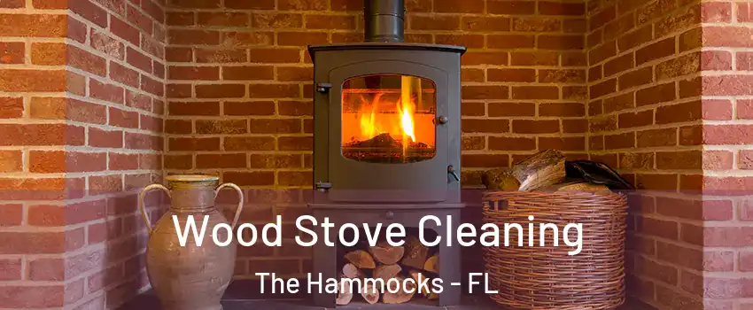  Wood Stove Cleaning The Hammocks - FL
